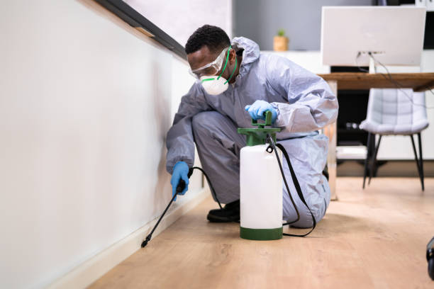 Real Estate Pest Inspections in Vinton, TX